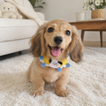 Hand‑Crochet Pet Collars