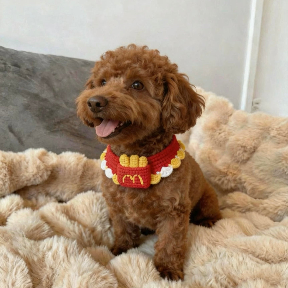 Handmade Crochet French Fries Pet Collar