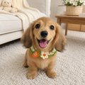 Hand‑Crochet flower Pet Collars