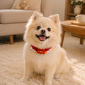 Handmade Crochet French Fries Pet Collar