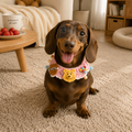 Hand‑Crochet Winnie The Pooh Pet Collar