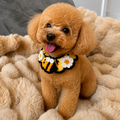 hand-crochet bee & flower pet collar