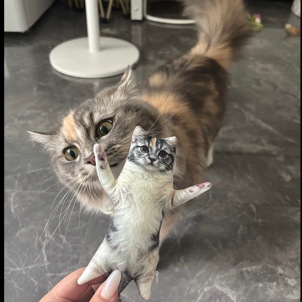 Custom Pet Plush Toy