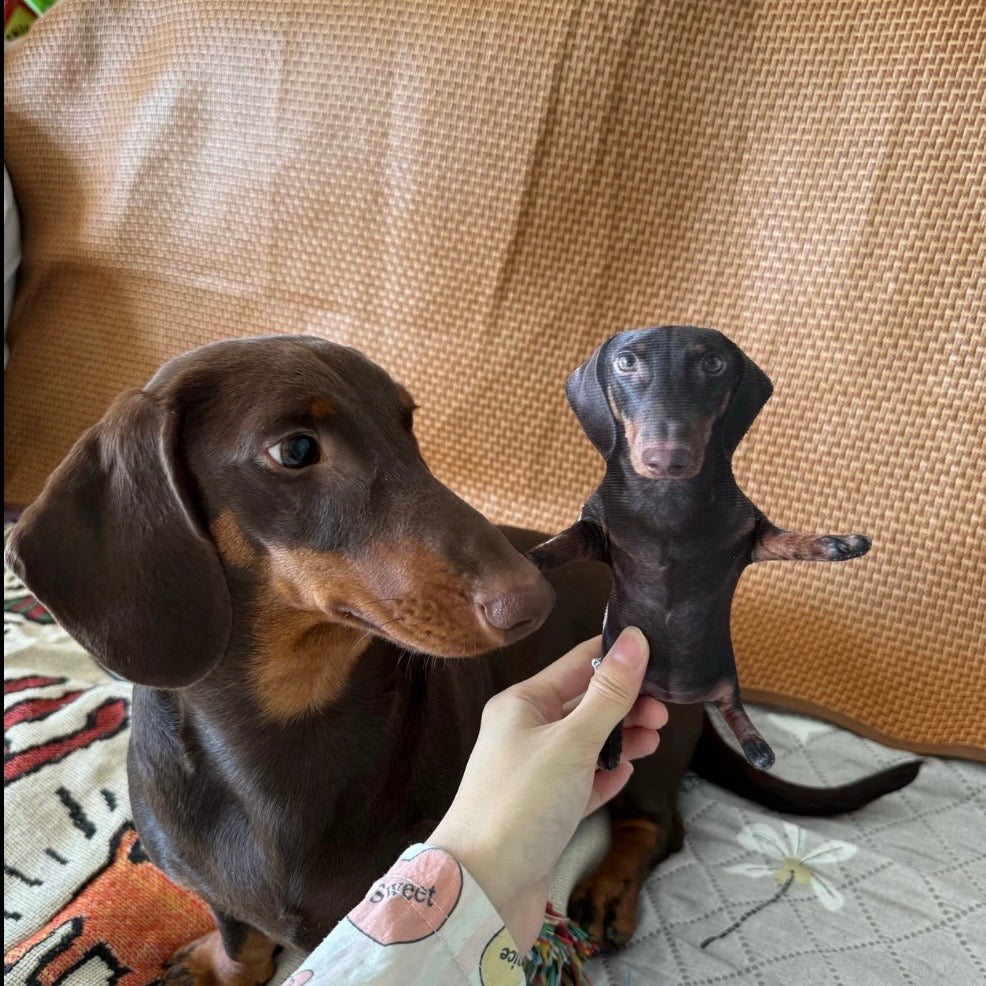 Custom Pet Plush Toy